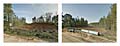 Farm to Market 1252, Winona, Texas.  180° Diptych.  Keystone XL Pipeline construction corridor.  Google Street View 2013.