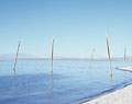 Electrical poles in water. Niland. Salton Sea. California.
