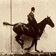 Eadweard Muybridge. Animal Locomotion, plate 640. Daisy jumping a hurdle, saddled, 1887 ©California Historical Society