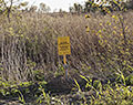 Signage in brush. Keystone Pipeline route. Arkansas City, Kansas