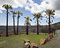 Six Palms. Pinkston Canyon. Oroville, California.